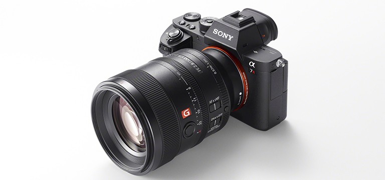 FE 100mm F2.8 STF vs FE85mm GM