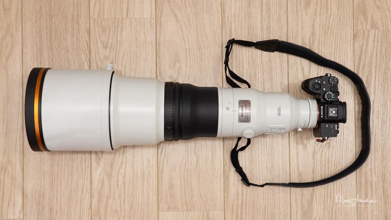 Sony 600mm F4 GM + TC1.4