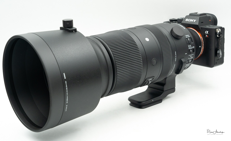 Sigma 60-600mm F4.5-6.3 DG DN OS Sports