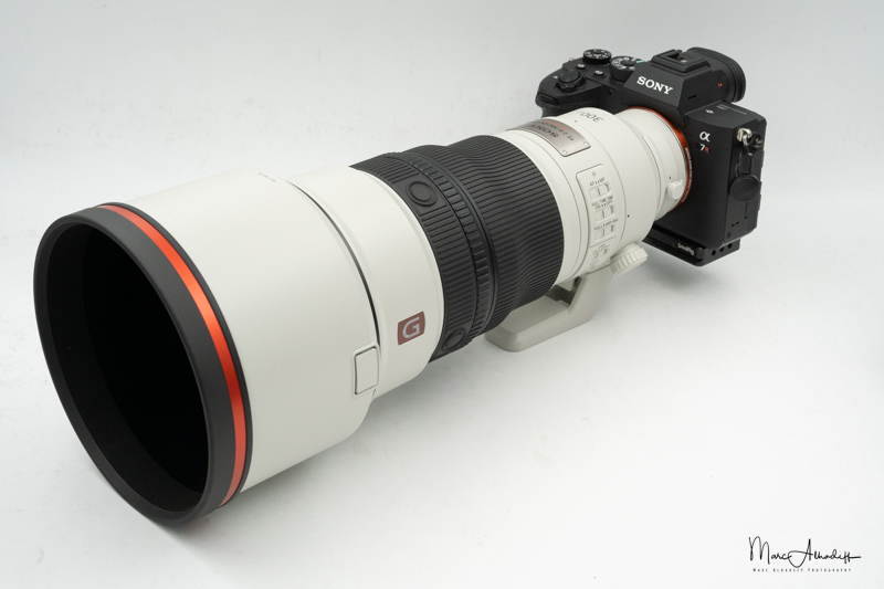 Sony 300mm F2.8 GM : Video & Conclusion