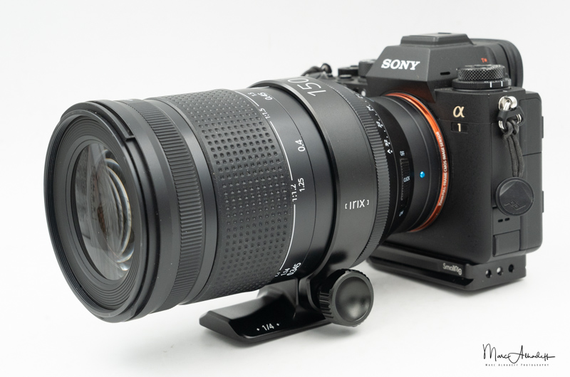 Irix 150mm F2.8 macro 1:1 Dragonfly