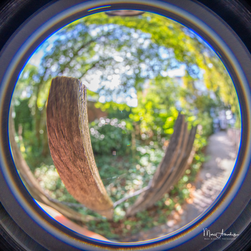 Sony Alpha Blog : AstrHori 6mm F2.8 Circular Fisheye, F4 – 1-250 s ...
