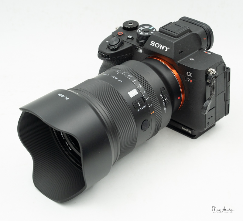 Sony Alpha Blog : 7CA08401