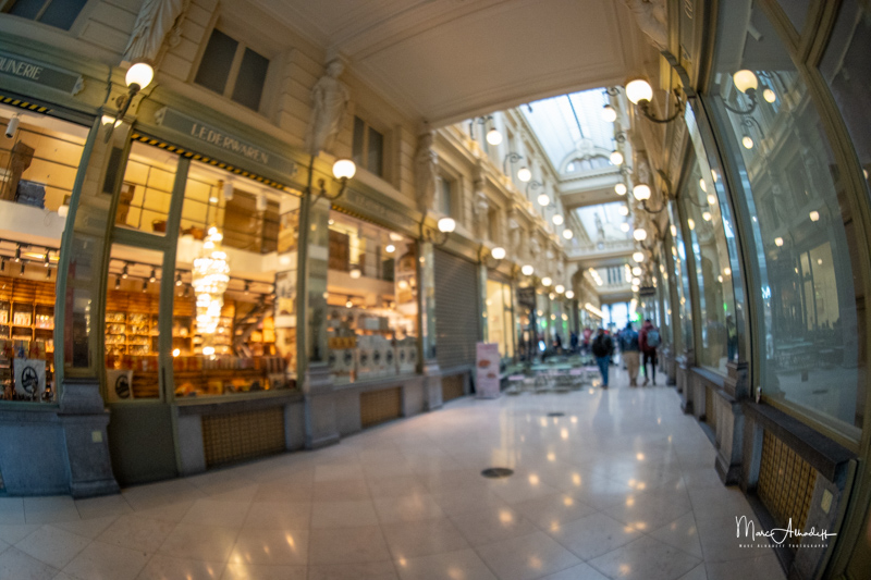 Sony Alpha Blog : Brightin Star 10mm F5.6 – 1-125 s – ISO 2000-014