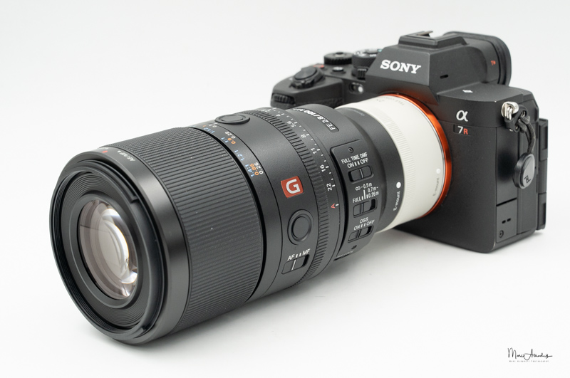 Sony Alpha Blog : Sony 100mm f2.8 GM Macro OSS-013
